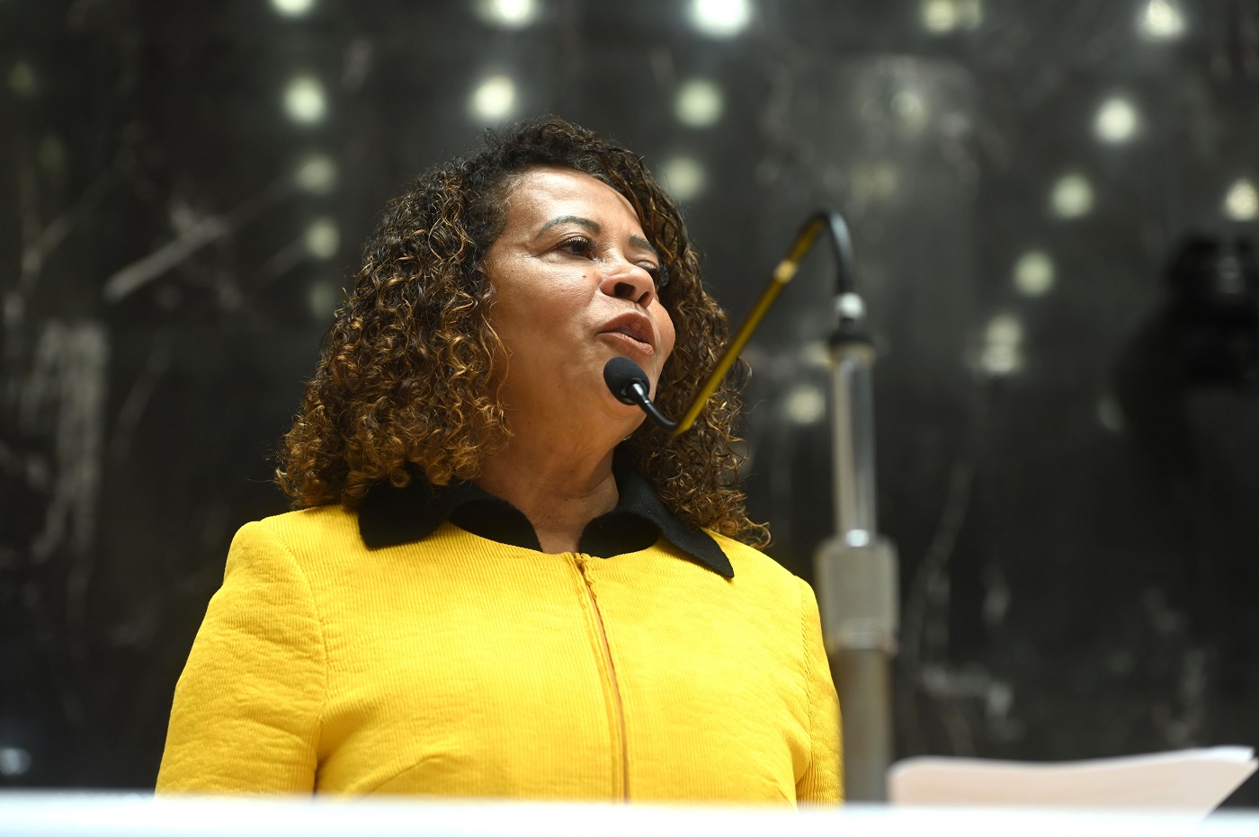 Reunião Especial - entrega do título de cidadã honorária a Beatriz Angel Bogossian