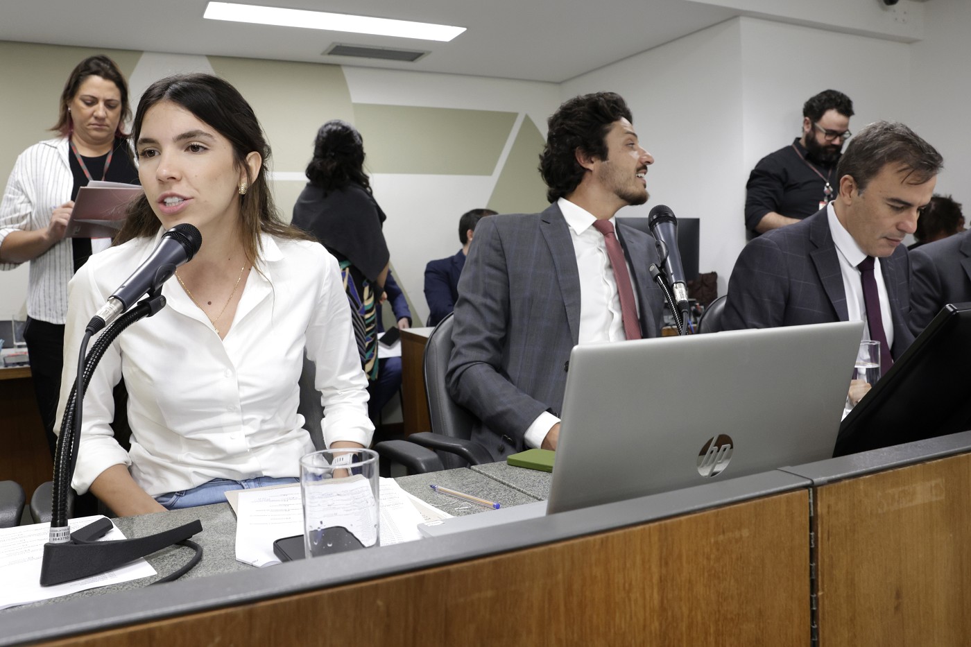 Comissão de Constituição e Justiça - análise de proposições
