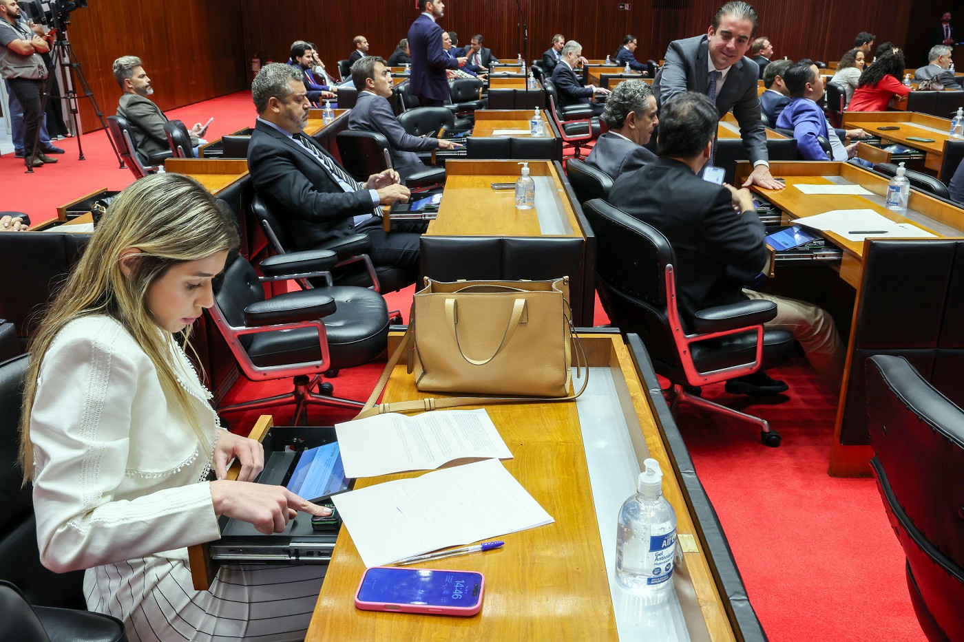 Reunião Ordinária de Plenário - tarde - análise de proposições