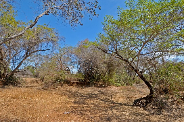 2ª Edição do Cidadania Ribeirinha
