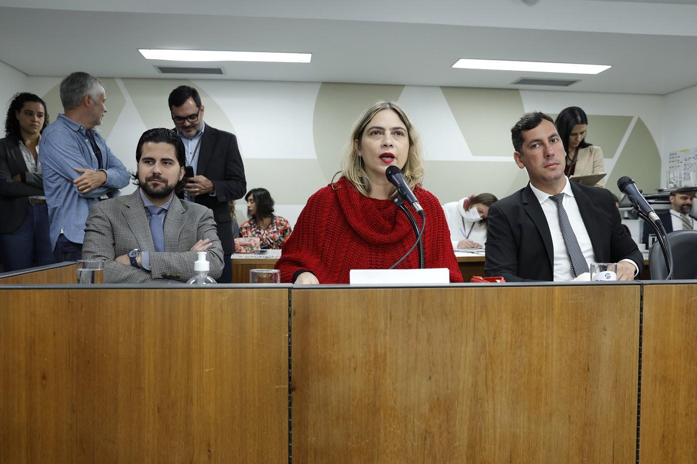 Comissão de Constituição e Justiça - análise de proposições