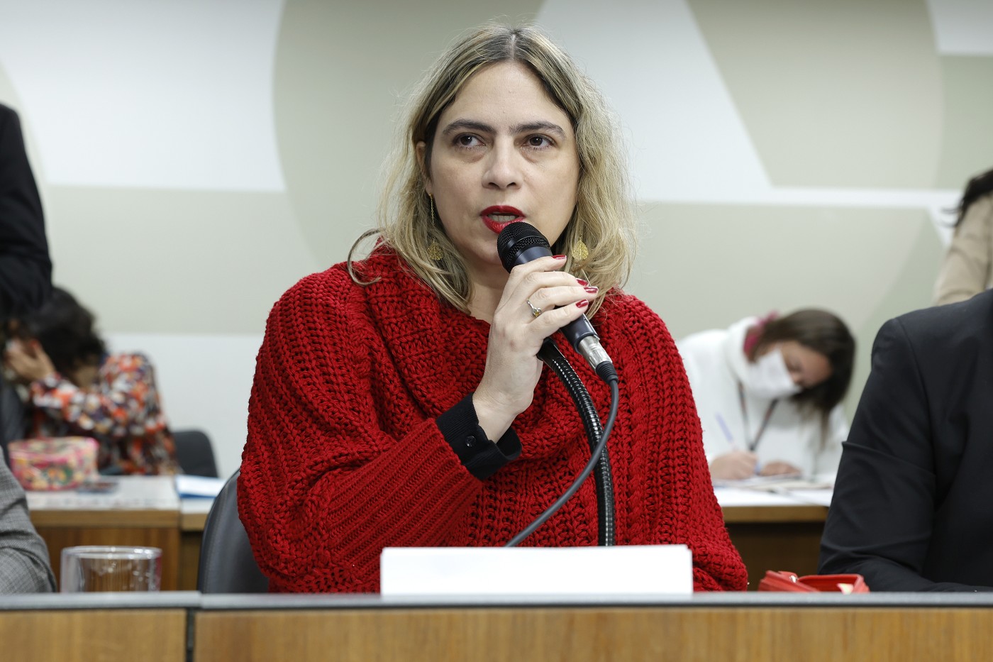 Comissão de Constituição e Justiça - análise de proposições