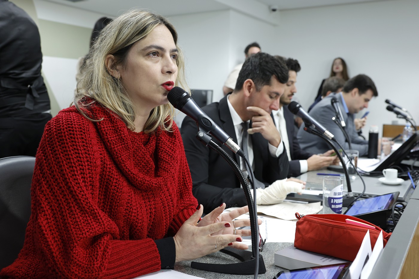 Comissão de Constituição e Justiça - análise de proposições