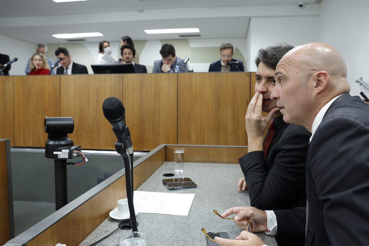 Comissão de Constituição e Justiça - análise de proposições