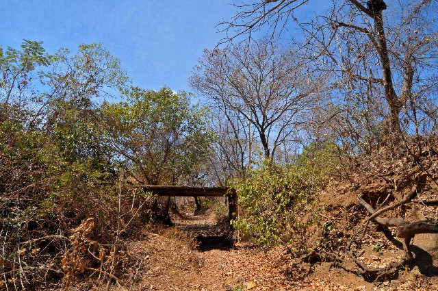 2ª Edição do Cidadania Ribeirinha