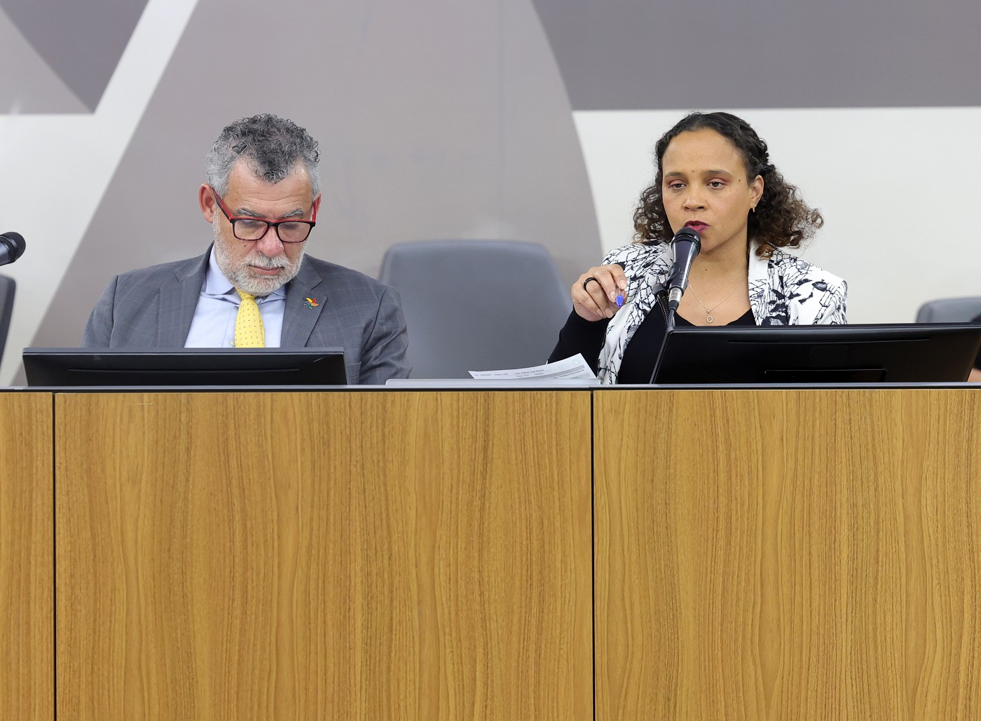 Comissão do Trabalho, da Previdência e da Assistência Social  - debate sobre as estratégias de combate ao trabalho infantil no Estado