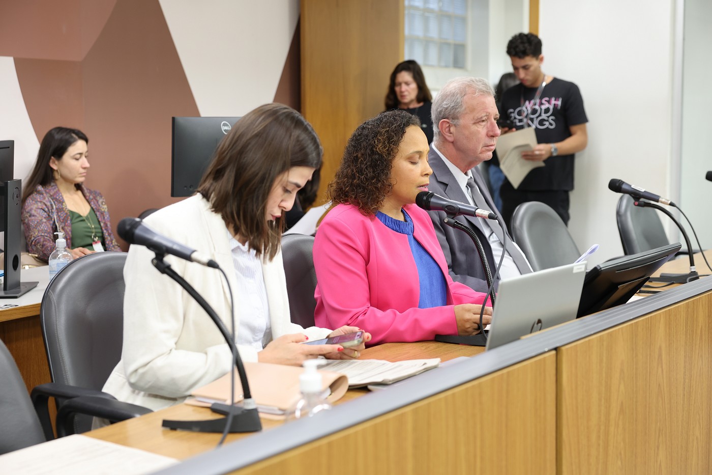 Comissão de Defesa dos Direitos da Mulher - análise de proposições
