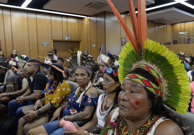 Comissão de Direitos Humanos - debate sobre a situação dos povos indígenas no âmbito federal