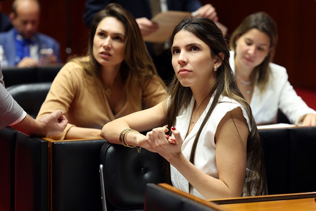 Reunião Extraordinária - manhã - análise de proposições