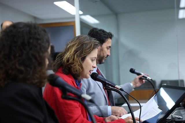 Comissão de Direitos Humanos - análise de proposições