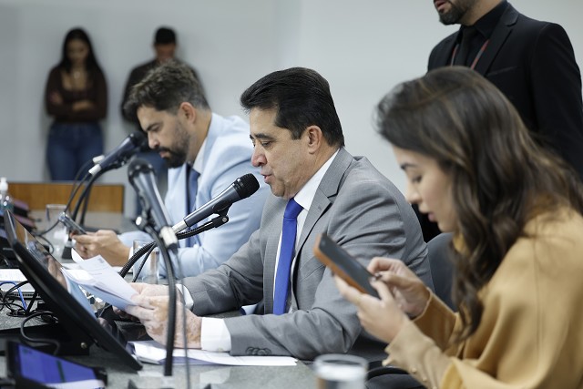 Comissão de Segurança Pública - análise de proposições