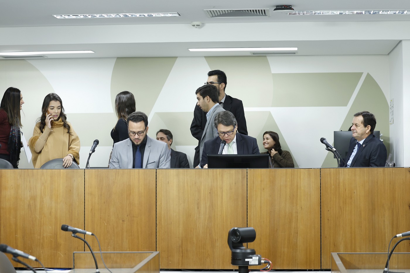Comissão de Fiscalização Financeira e Orçamentária, Comissão de Membros das Comissões Permanentes - Art. 204 do Regimento Interno