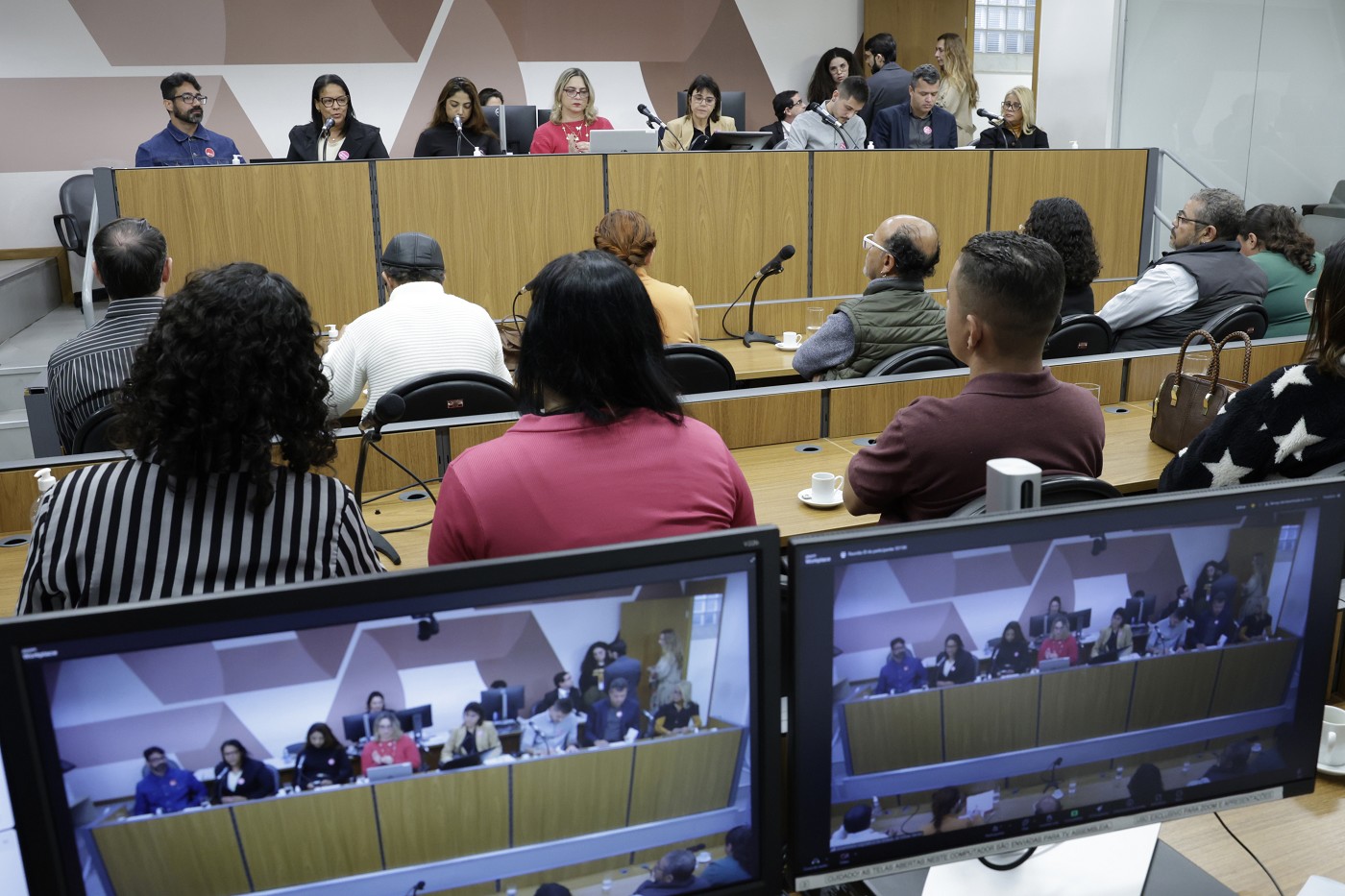 Comissão de Educação, Ciência e Tecnologia - debate sobre a Escola Estadual Jovem Protagonista