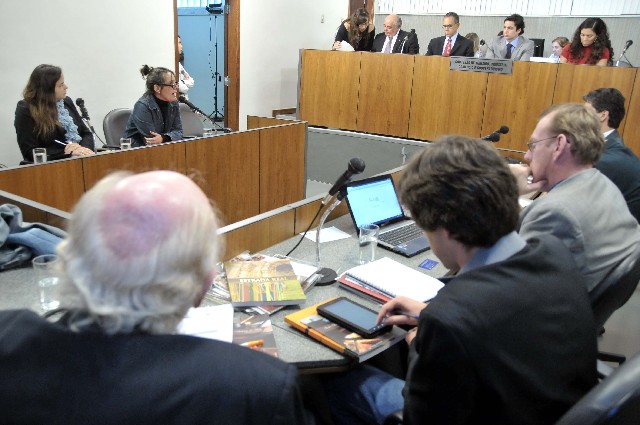Deputados e entidades governamentais e não governamentais deram sequência ao debate sobre economia criativa, iniciado há três meses