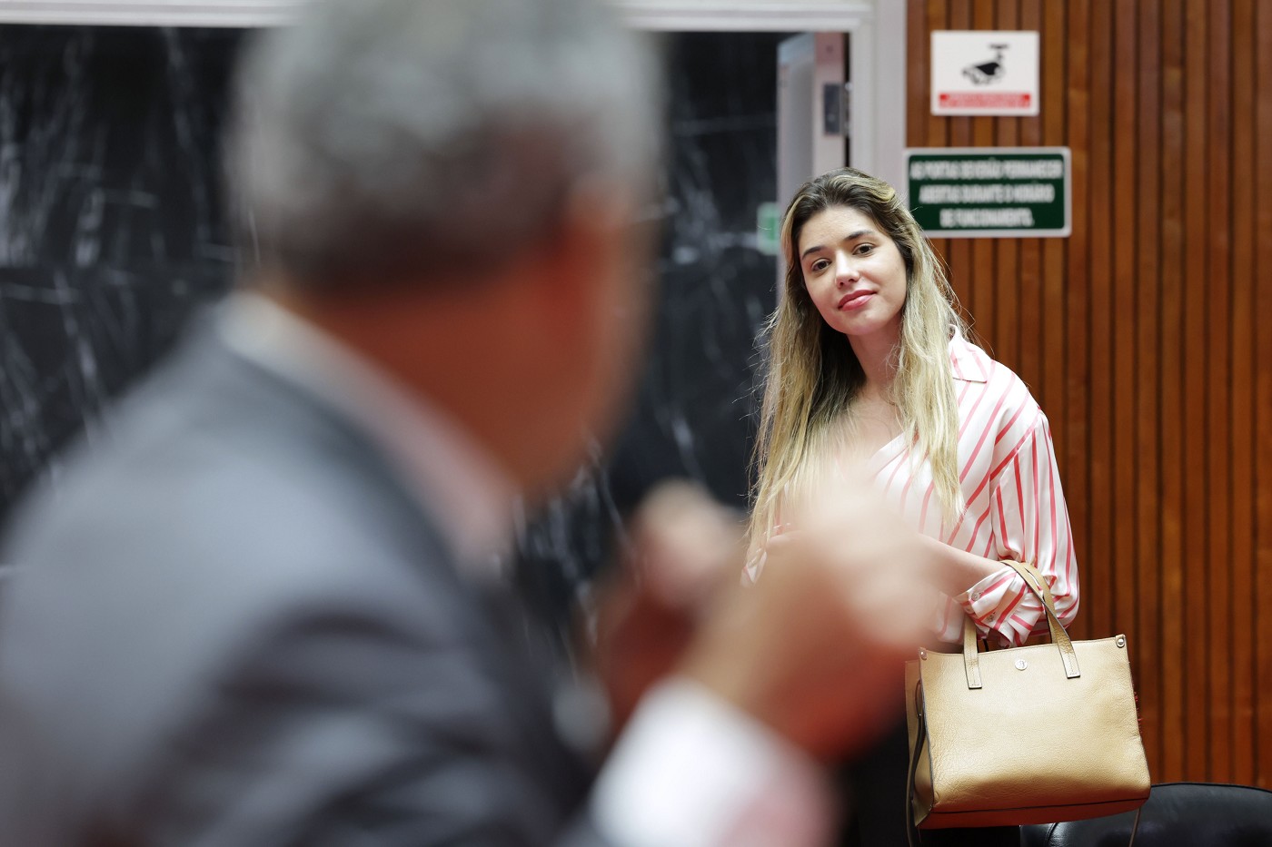 Reunião Ordinária de Plenário - tarde - análise de proposições