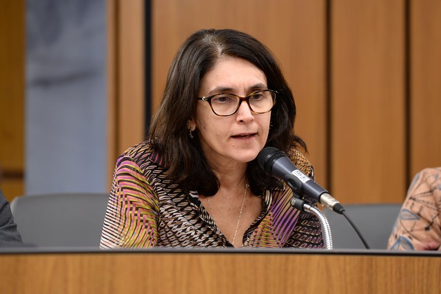 Promotora afirmou que governos descumprem sistematicamente a lei e cobrou mais clareza nos dados apresentados
