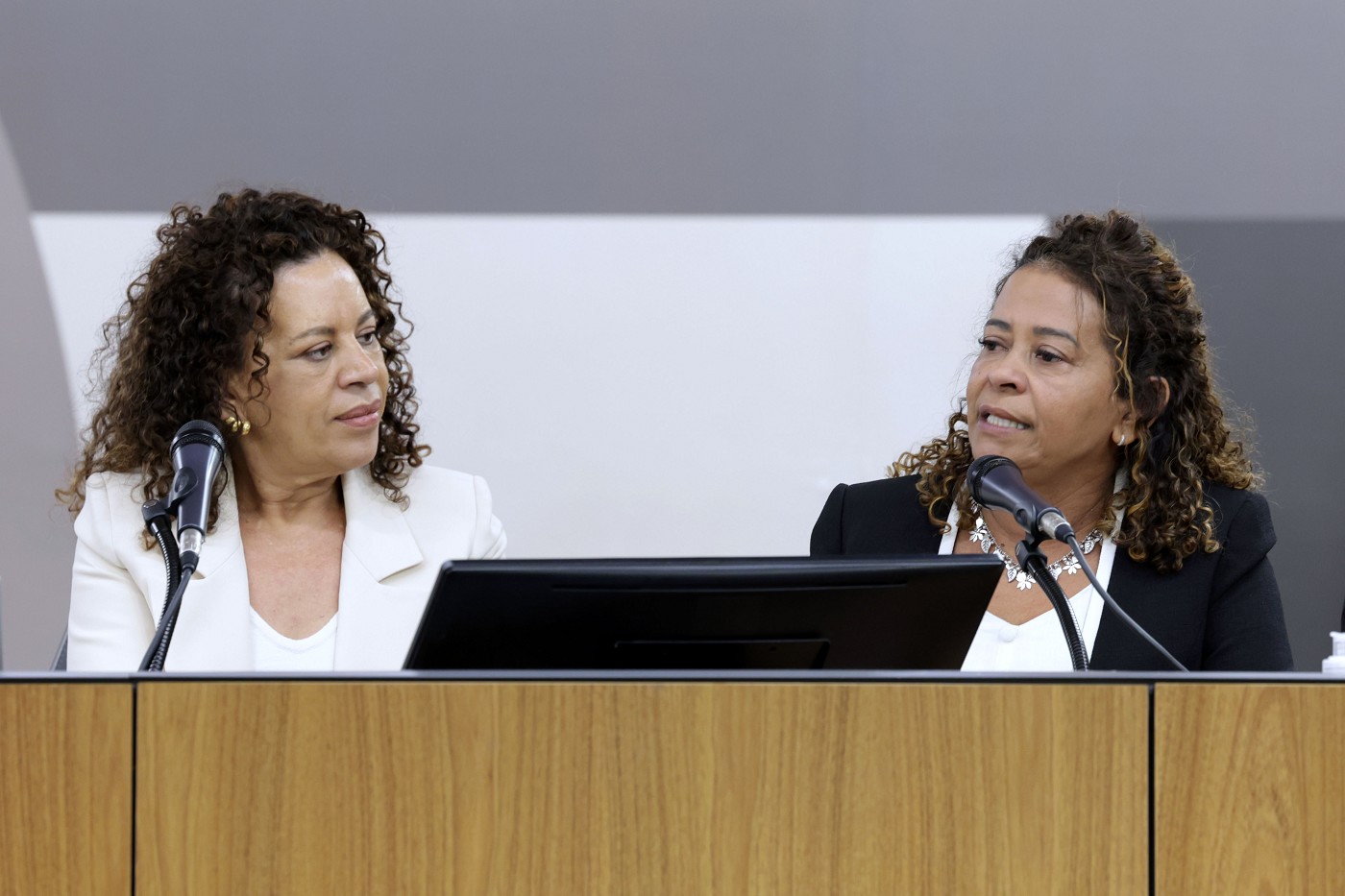 Comissão de Defesa dos Direitos da Mulher - debate sobre a 2ª Marcha Nacional das Mulheres Negras