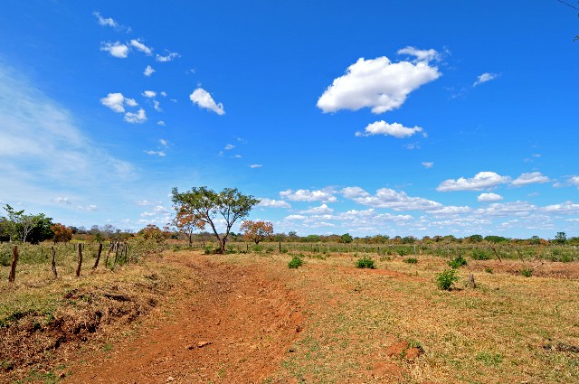 2ª Edição do Cidadania Ribeirinha
