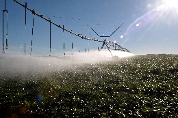 A produção de alimentos nos municípios mineiros é um dos critérios de distribuição da Lei do ICMS Solidário - Arquivo/ALMG