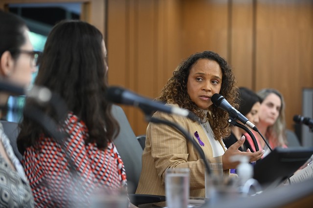 Comissão de Defesa dos Direitos da Mulher - debate sobre a importância dos protocolos de atendimento às mulheres em situação de violência