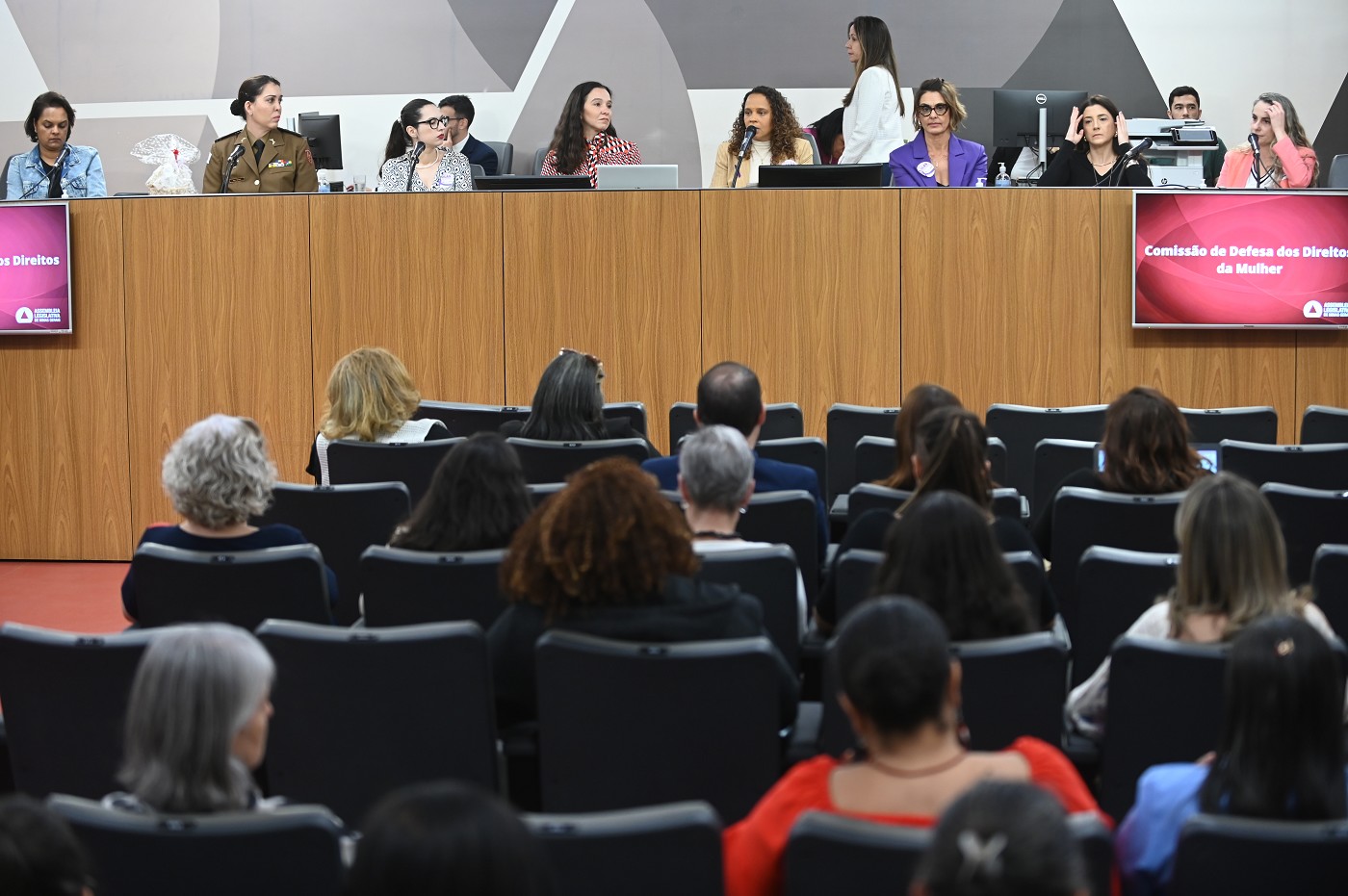 Comissão de Defesa dos Direitos da Mulher - debate sobre a importância dos protocolos de atendimento às mulheres em situação de violência