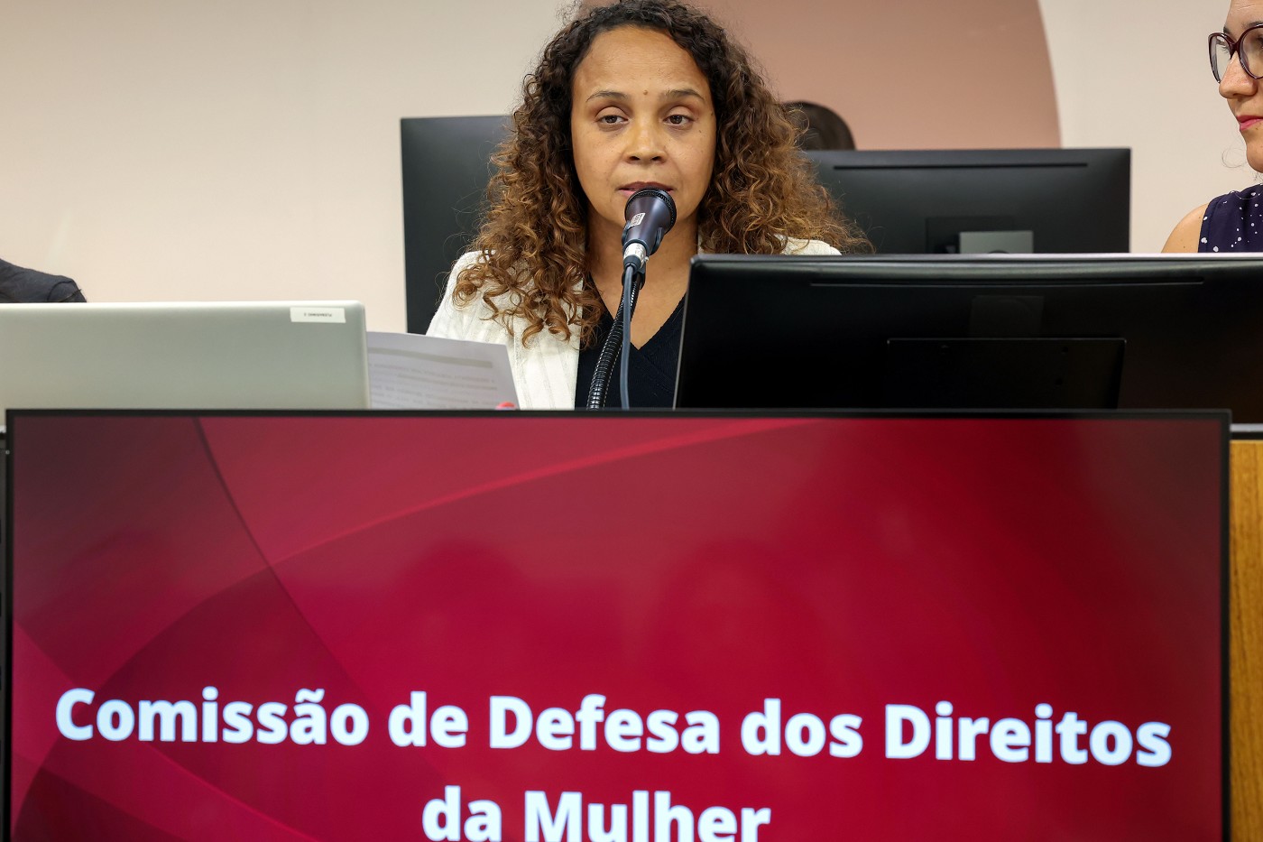 Comissão de Defesa dos Direitos da Mulher - debate sobre a criação do Observatório Estadual da Violência contra a Mulher