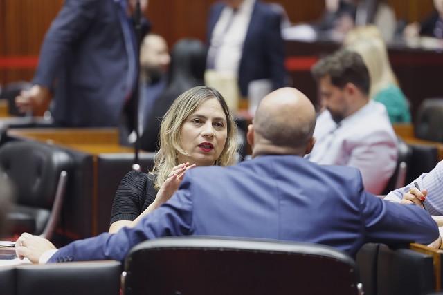 Reunião Extraordinária - manhã - análise de proposições