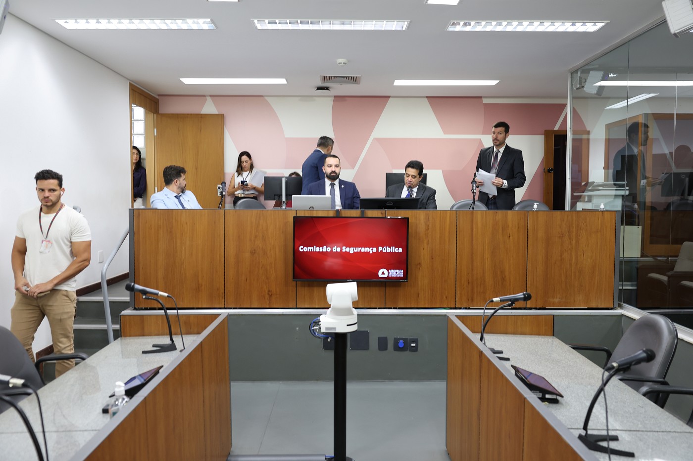 Comissão de Segurança Pública - análise de proposições