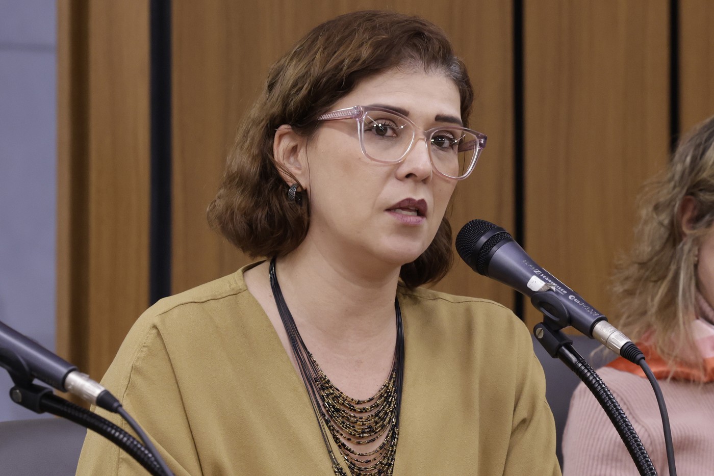 Comissão do Trabalho, da Previdência e da Assistência Social - debate sobre os trabalhadores do Sistema Estadual do Meio Ambiente