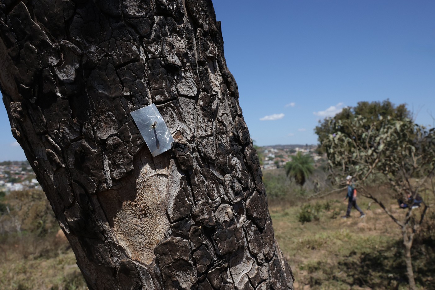 Comissão de Meio Ambiente e Desenvolvimento Sustentável - visita à Serra do Elefante