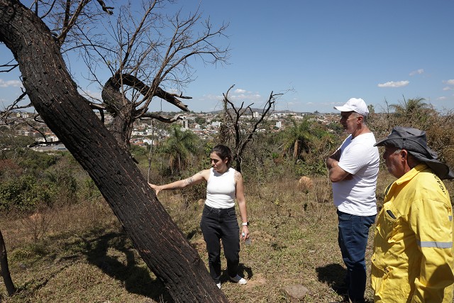Comissão de Meio Ambiente e Desenvolvimento Sustentável - visita à Serra do Elefante
