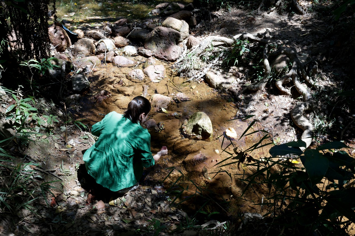 Comissão de Meio Ambiente e Desenvolvimento Sustentável - visita à Serra do Elefante