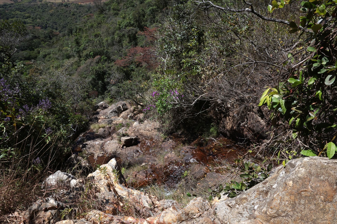 Comissão de Meio Ambiente e Desenvolvimento Sustentável - visita à Serra do Elefante