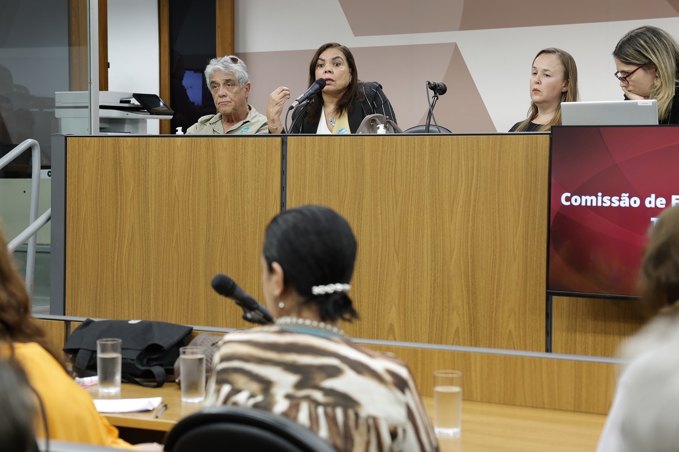 Comissão de Educação, Ciência e Tecnologia - debate sobre fechamento de escola para pessoas com deficiência