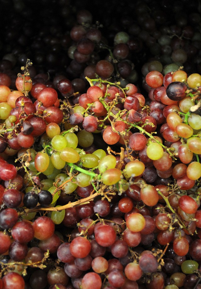 Nesta pesquisa, o único grupo no qual foi detectada alta média foi o das frutas - Arquivo/ALMG
