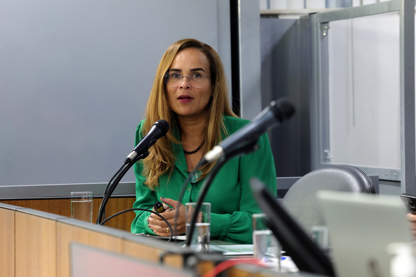 Comissões de Minas e Energia e de Agropecuária - debate sobre o programa Cemig Agro