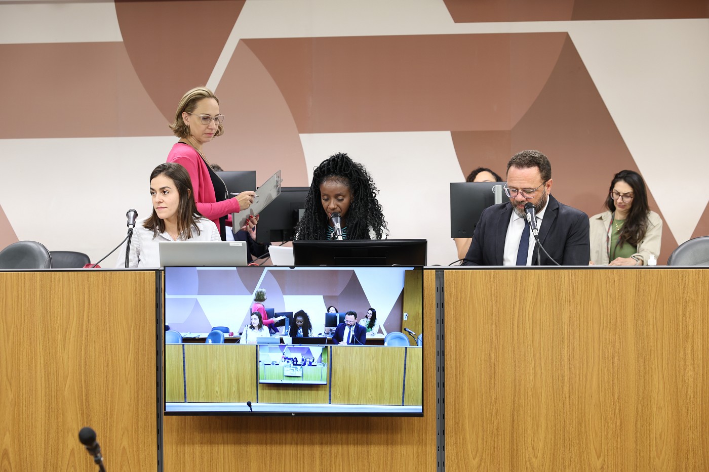 Comissão de Cultura - análise de proposições