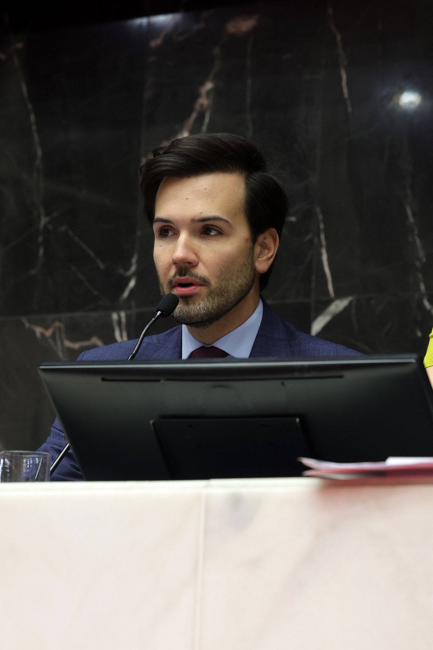 Reunião Ordinária - tarde - análise de proposições