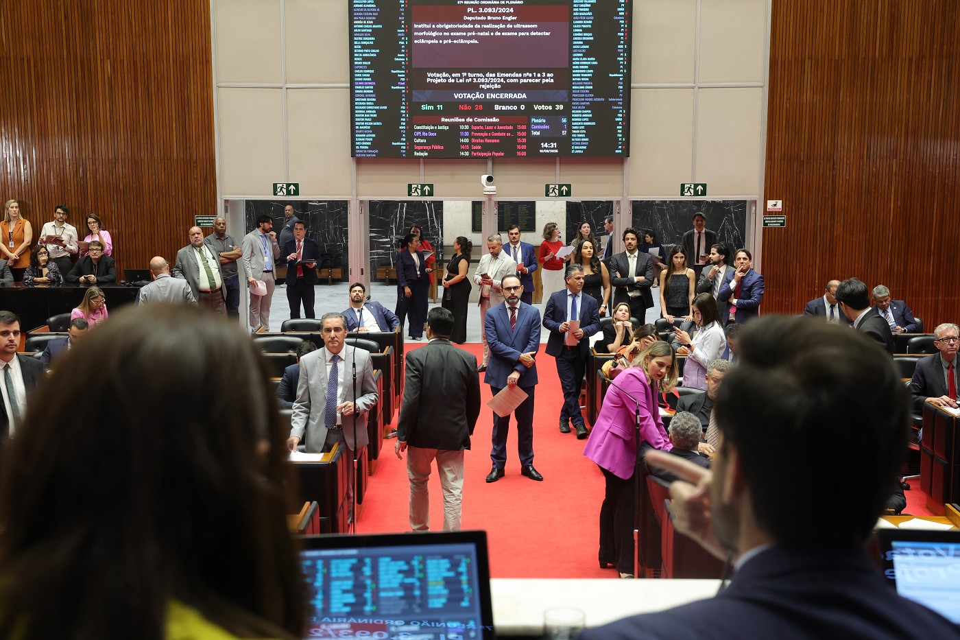 Reunião Ordinária - tarde - análise de proposições