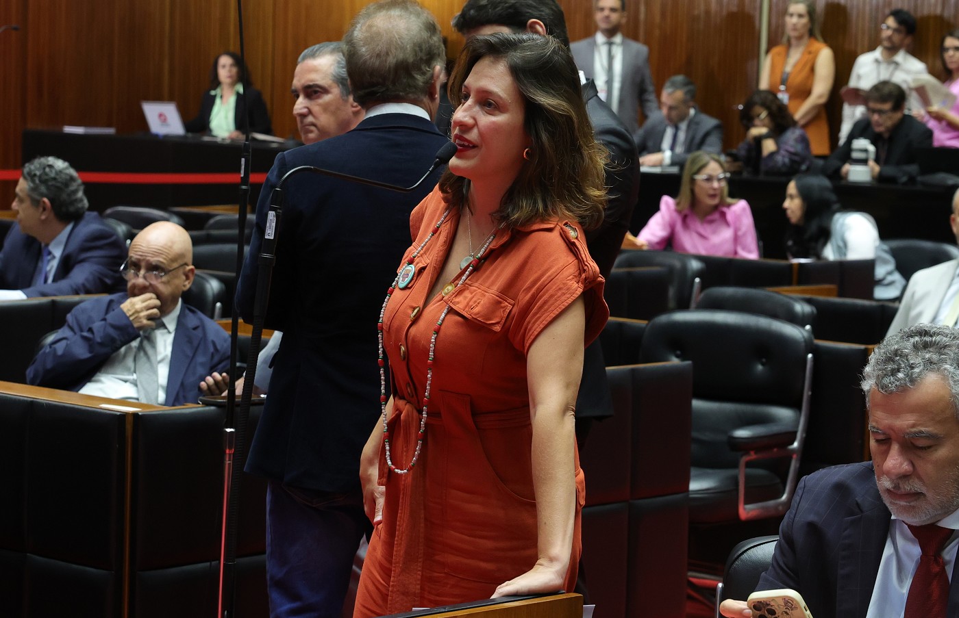 Reunião Ordinária - tarde - análise de proposições