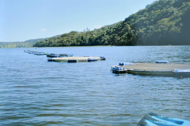 A Comissão de Meio Ambiente esteve no Lago Azul e o nível de poluição surpreendeu os deputados - Arquivo/ALMG