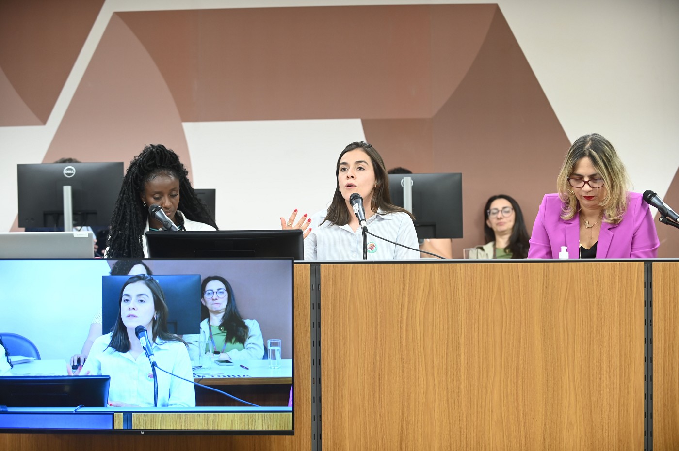 Comissão de Cultura - análise de proposições