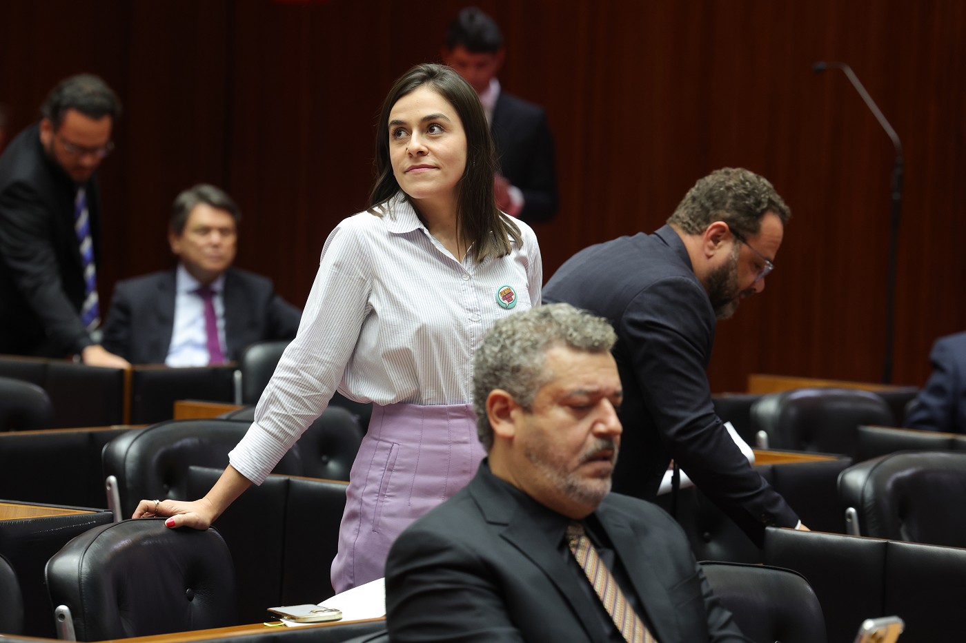 Reunião Ordinária - tarde - análise de proposições