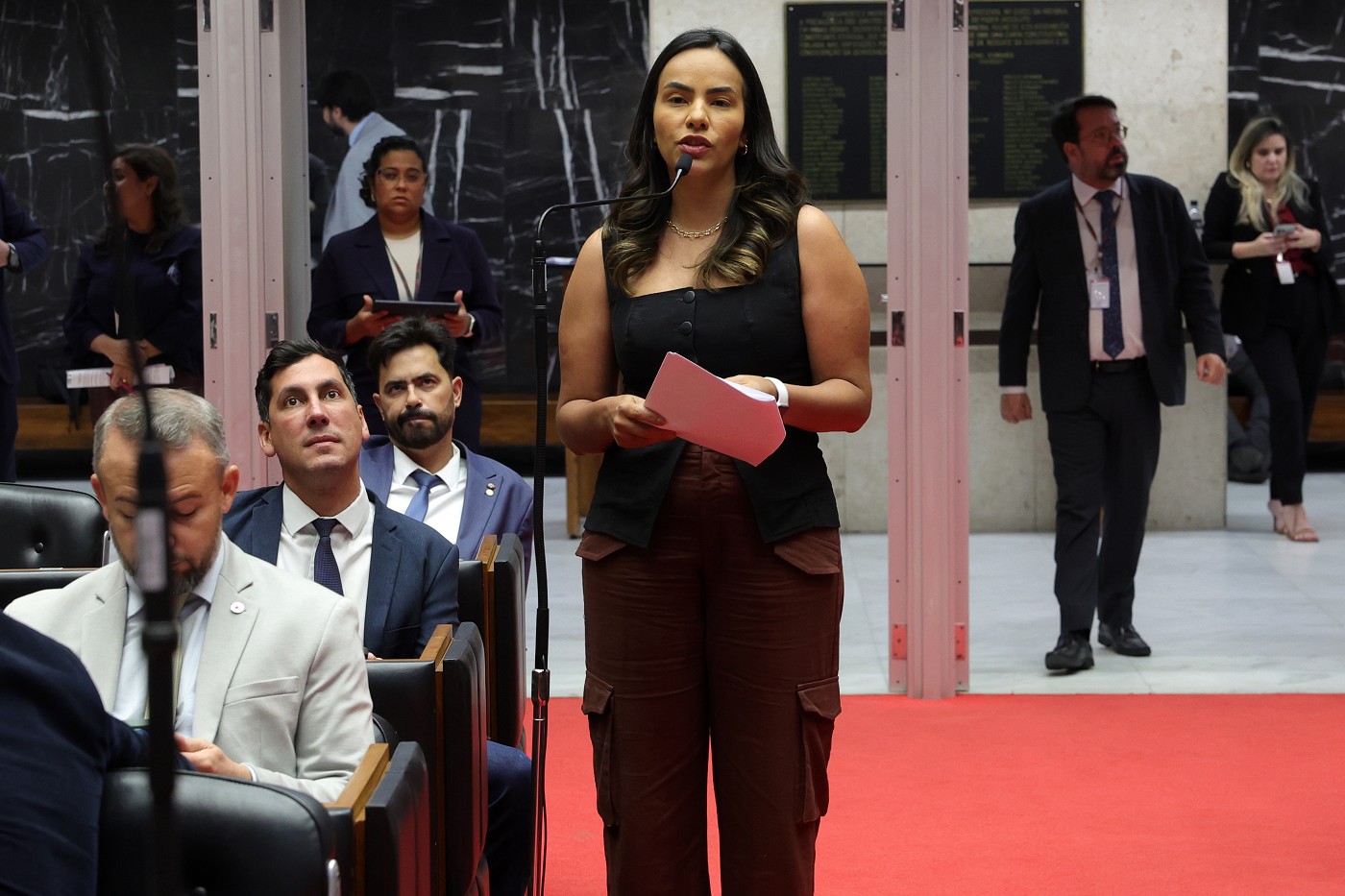 Reunião Ordinária - tarde - análise de proposições