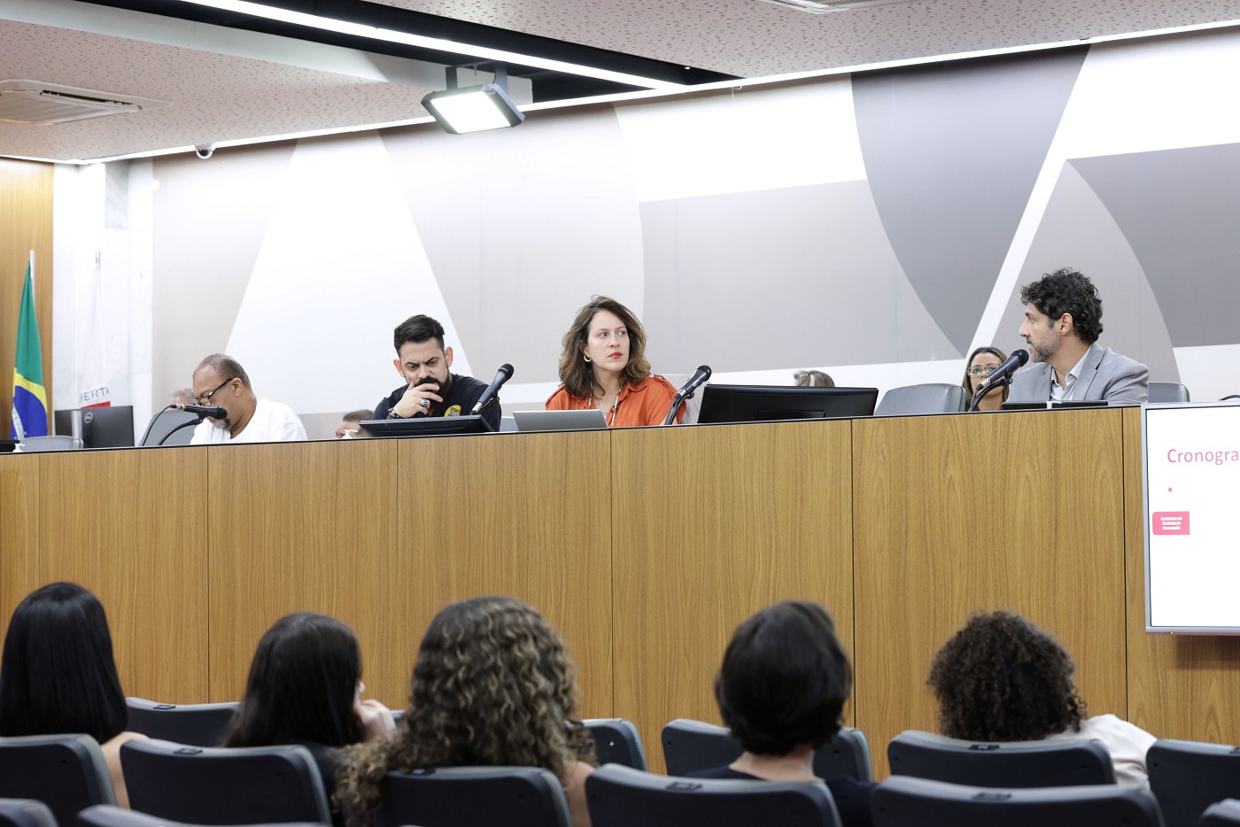 Comissão de Direitos Humanos - debate sobre a Linha 2 do metrô de Belo Horizonte