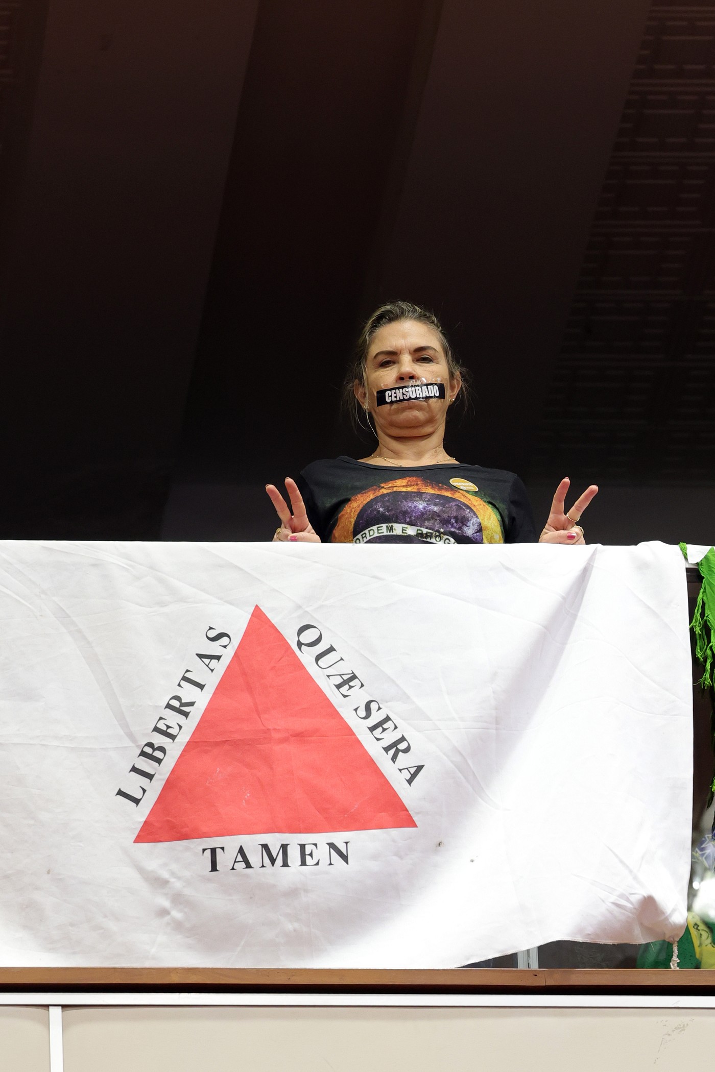 Reunião Ordinária - tarde - análise de proposições