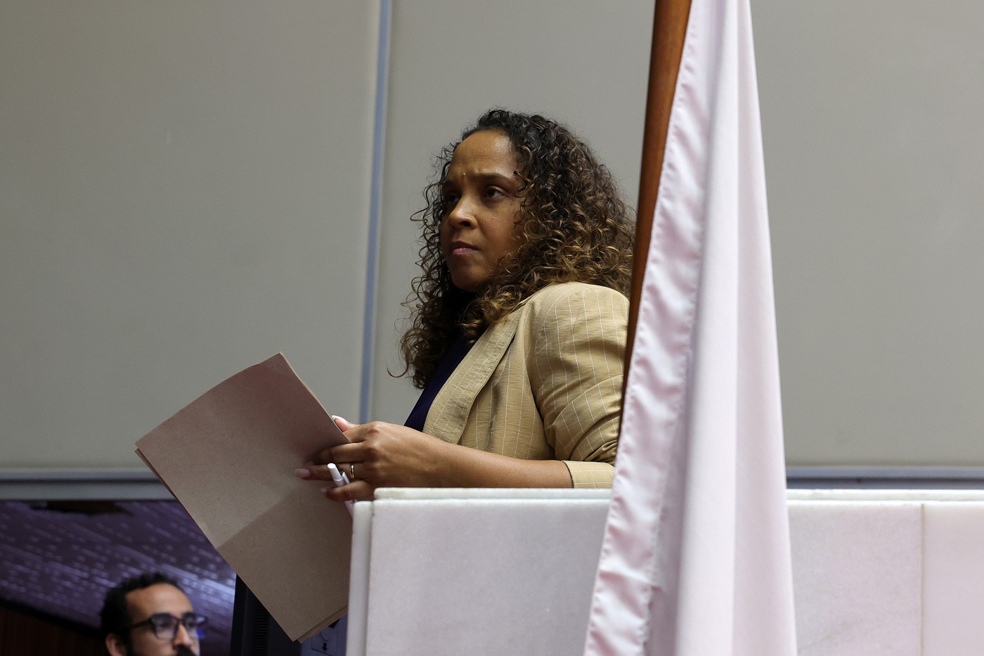 Reunião Ordinária - tarde - análise de proposições