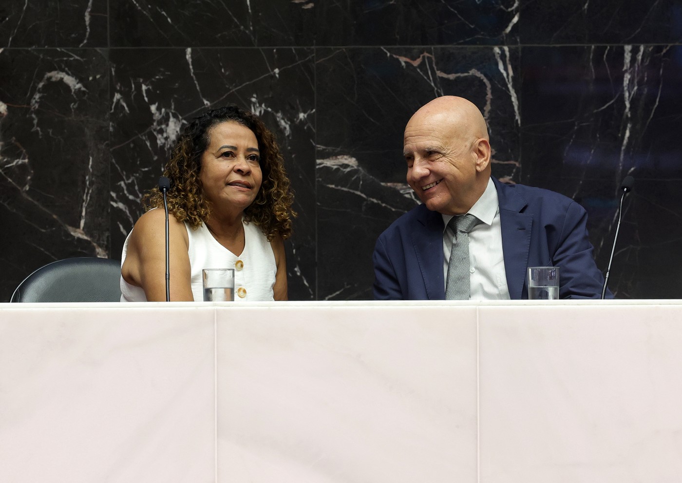 Reunião Ordinária - tarde - análise de proposições