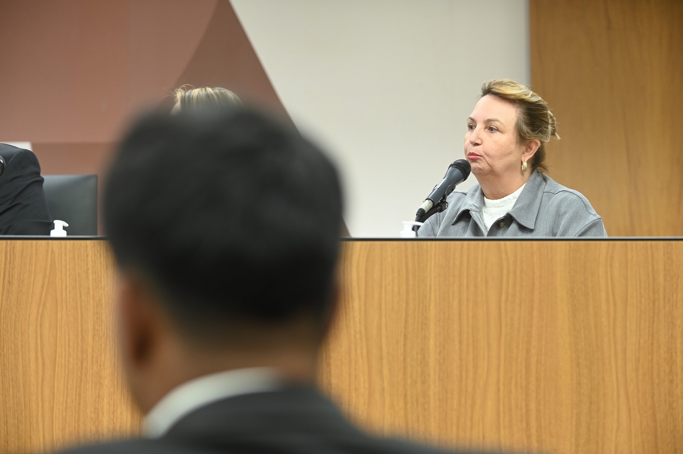 Comissão de Educação, Ciência e Tecnologia - debate sobre Construção de escola em Santana do Paraíso