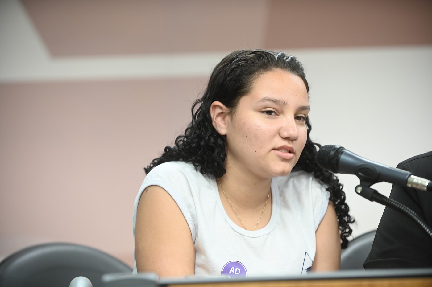 Comissão de Educação, Ciência e Tecnologia - debate sobre Construção de escola em Santana do Paraíso